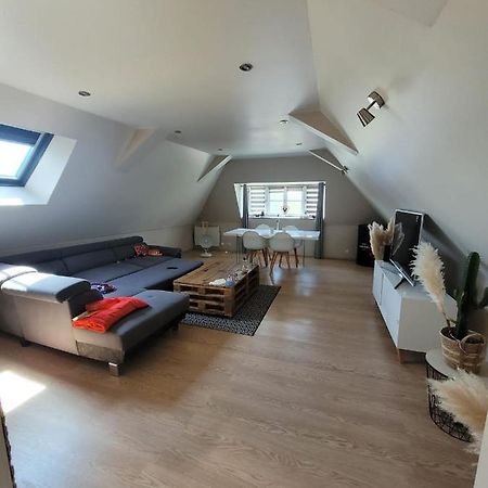 Loft Spacieux Et Lumineux Oloron-Sainte-Marie Exterior foto